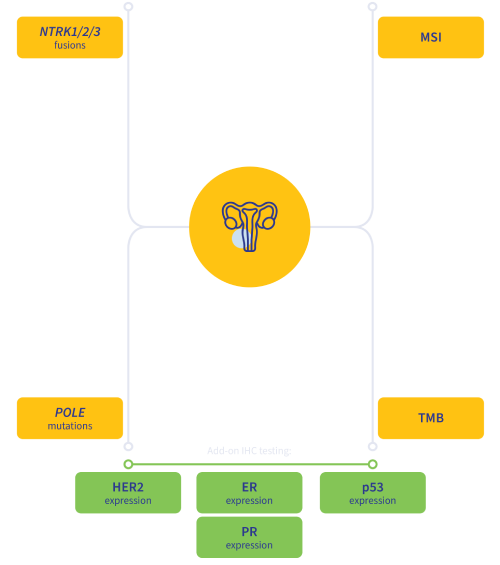 Endometrial cancer biomarkers