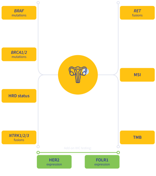 Ovarian cancer biomarkers