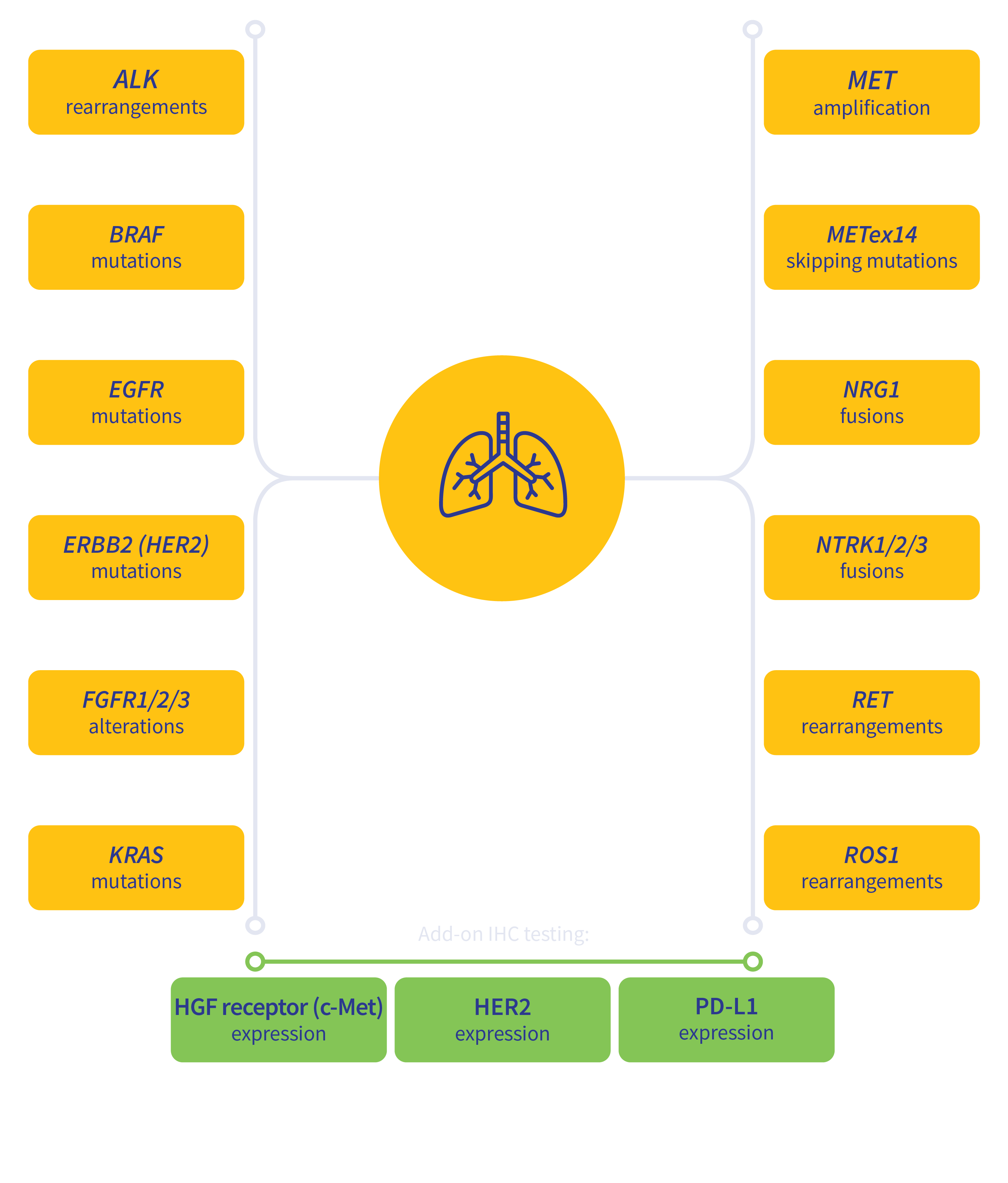 lung cancer biomarkers